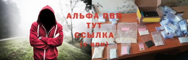 СК Медвежьегорск