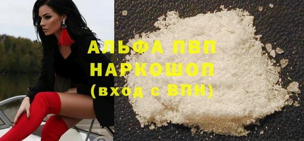 СК Медвежьегорск