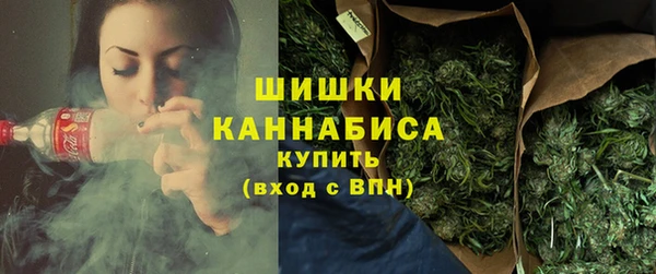 СК Медвежьегорск