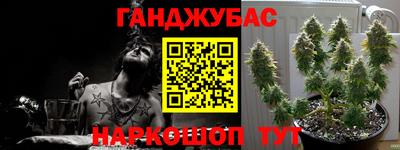 хмурый Камышлов