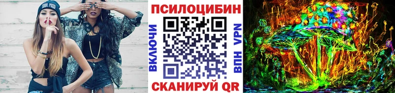 Псилоцибиновые грибы мицелий blacksprut как зайти Шали