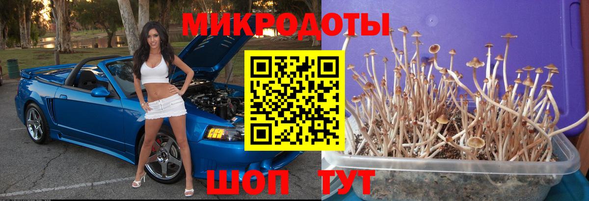 Галлюциногенные грибы GOLDEN TEACHER  купить наркотик  Псилоцибиновые грибы MAGIC MUSHROOMS  Шали 