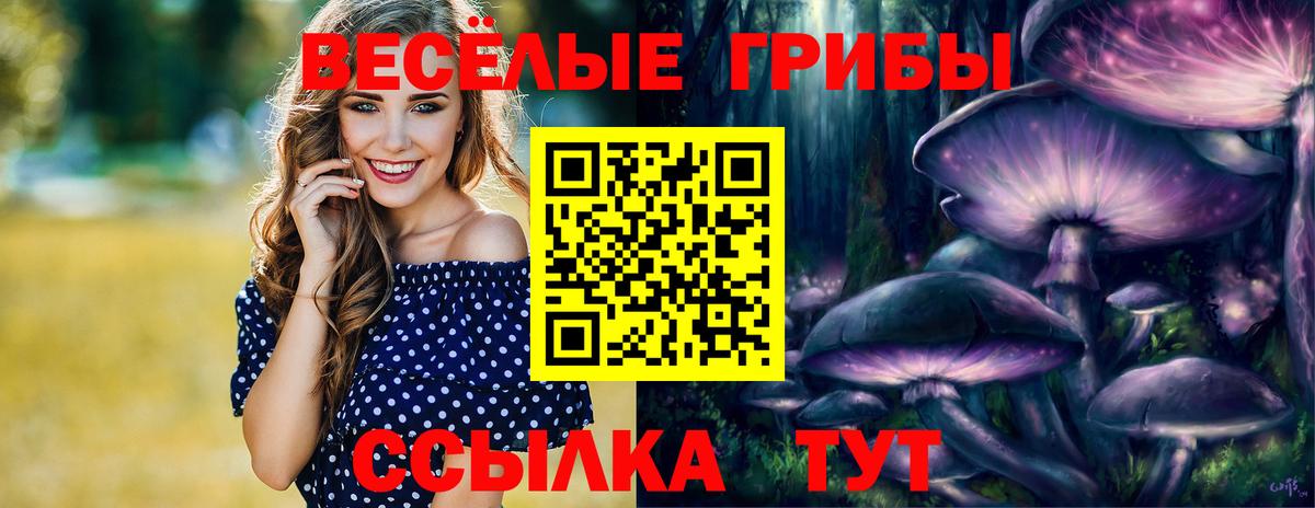 Псилоцибиновые грибы Cubensis Шали